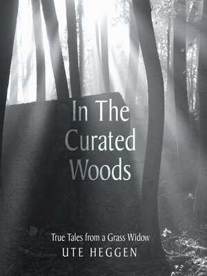 cover image of In the Curated Woods